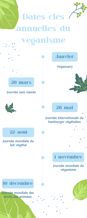 Colorful Modern Business Chronology Timeline Infographic-3